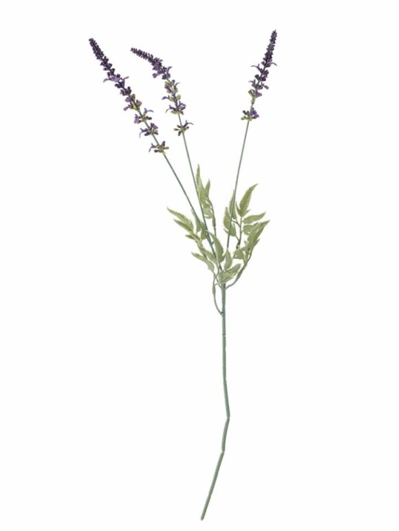 Bloomingville - BV Lavender, Stilk