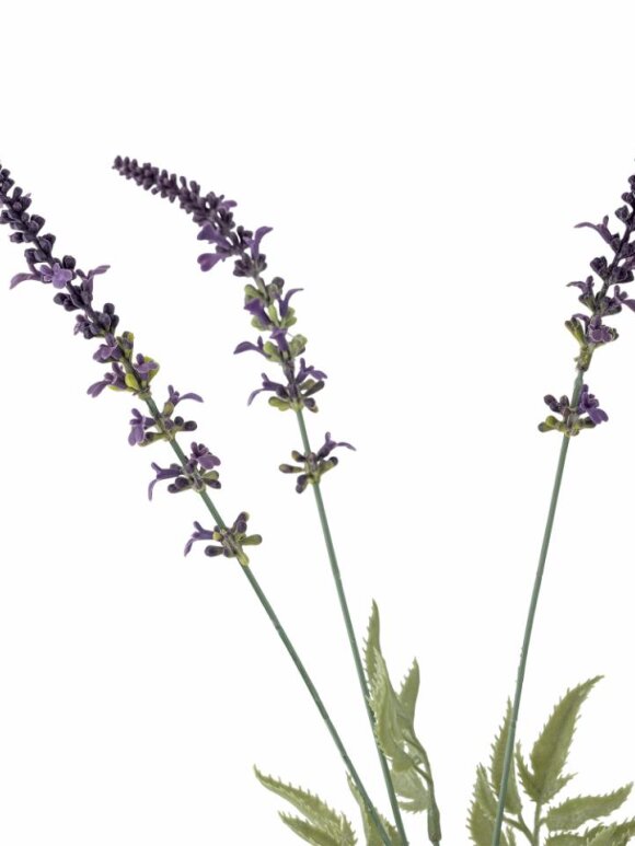 Bloomingville - BV Lavender, Stilk