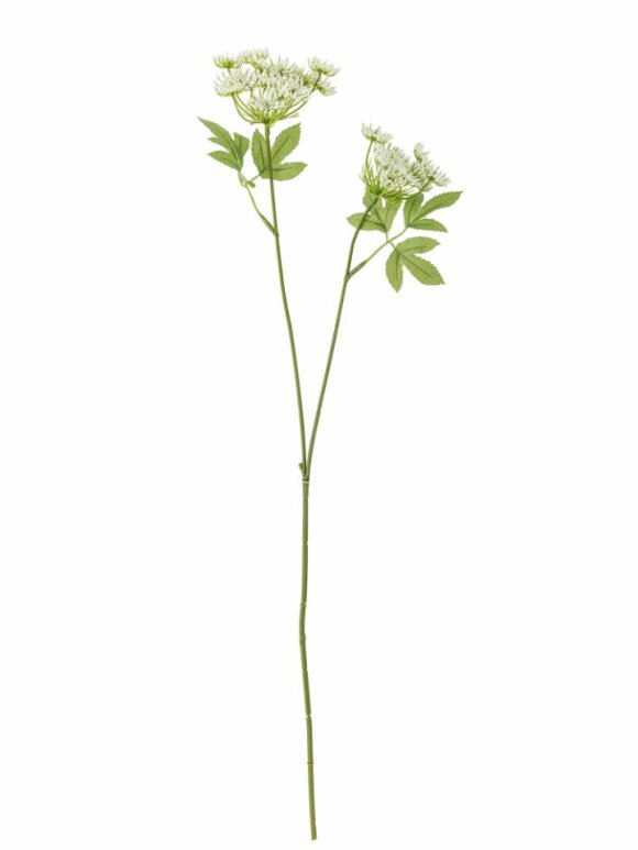 Bloomingville - BV Fennel, Stilk