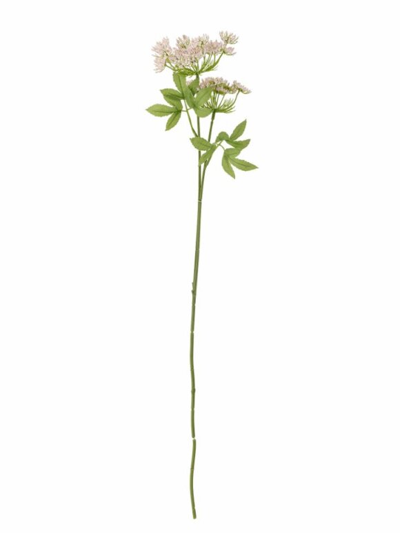 Bloomingville - BV Fennel, Stilk
