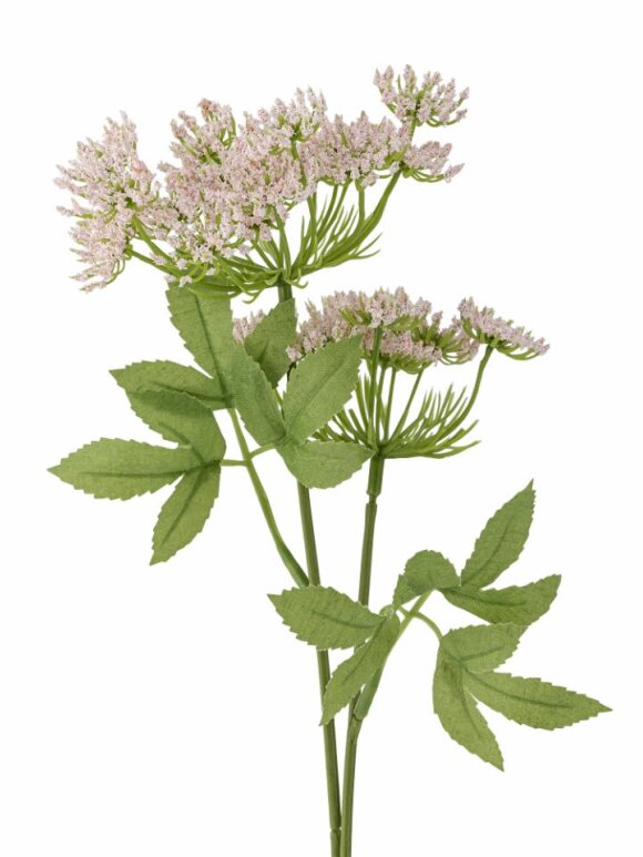 Bloomingville - BV Fennel, Stilk
