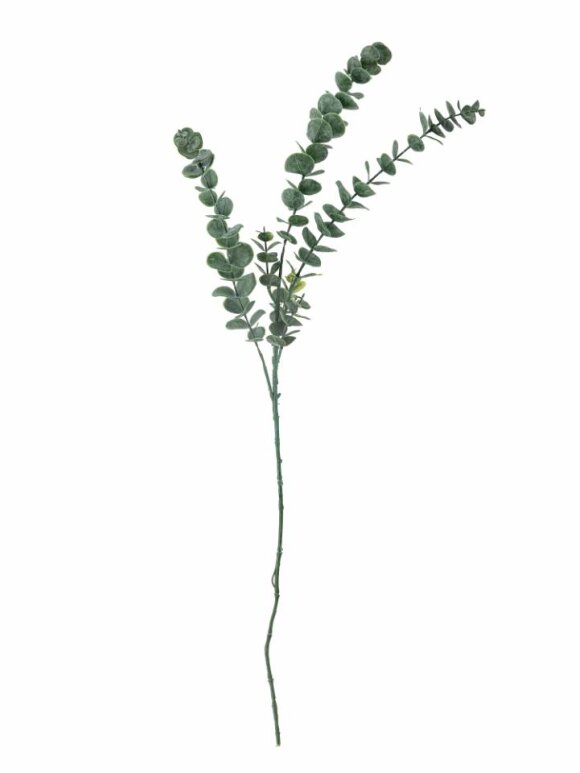 Bloomingville - BV Eucalypsus, Stilk