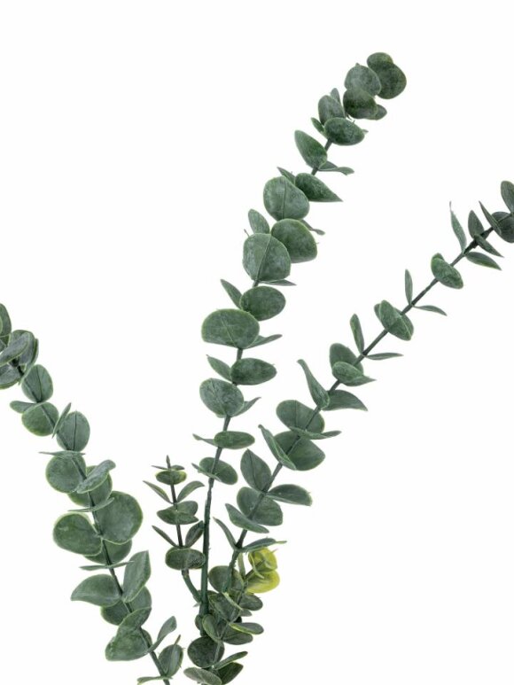 Bloomingville - BV Eucalypsus, Stilk