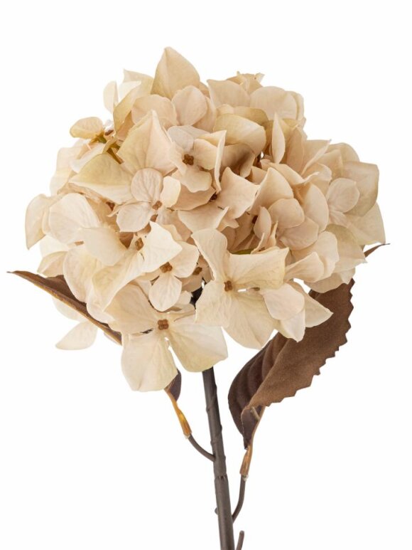 Bloomingville - BV Hydrangea, Stilk