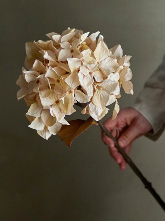 Bloomingville - BV Hydrangea, Stilk