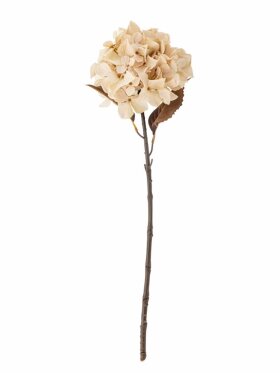 Bloomingville - BV Hydrangea, Stilk