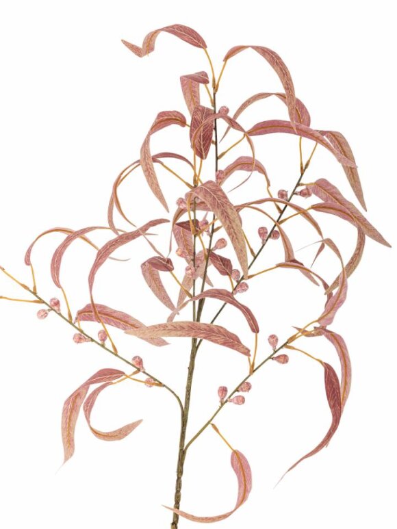 Bloomingville - BV Eucalypsus, Stilk