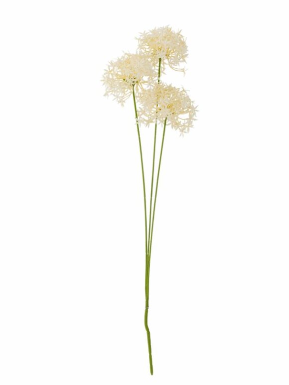 Bloomingville - BV Allium, Stilk