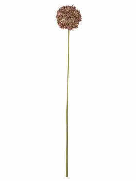 BV Allium, Stilk BV Allium, Stilk