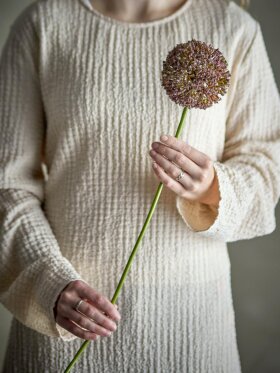 BV Allium, Stilk