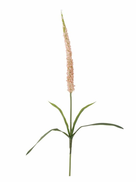 Bloomingville - BV Foxtail, Stilk