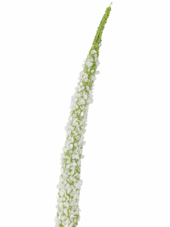 Bloomingville - BV Foxtail, Stilk