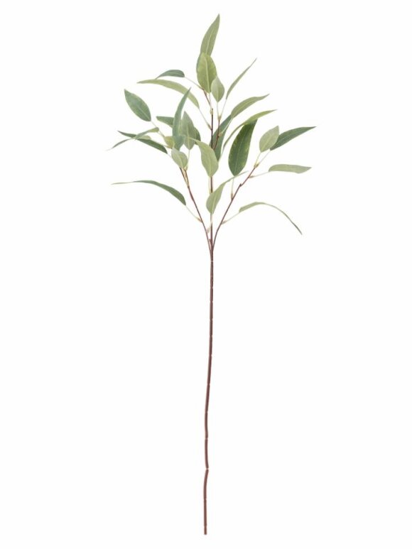Bloomingville - BV Eucalypsus, Stilk