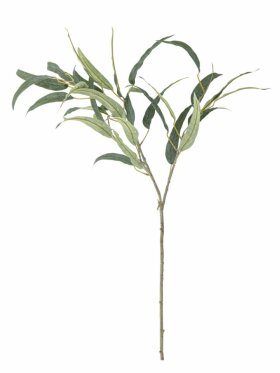 Bloomingville - BV Eucalypsus, Stilk