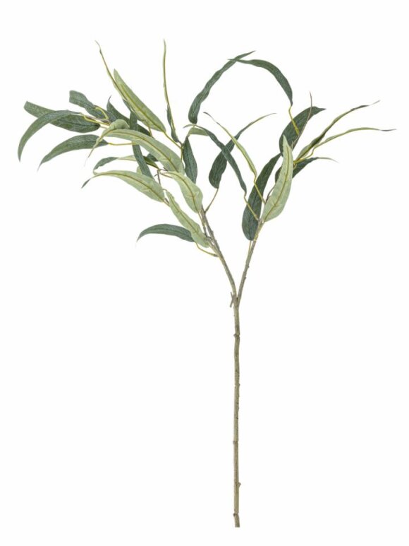 Bloomingville - BV Eucalypsus, Stilk