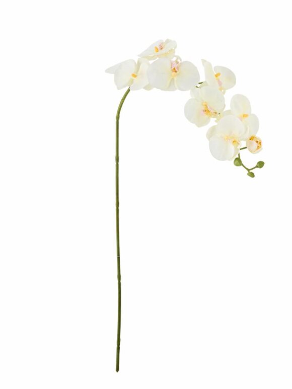 Bloomingville - BV Orchid, Stilk