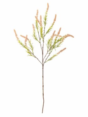 Bloomingville - BV Foxtail, Stilk