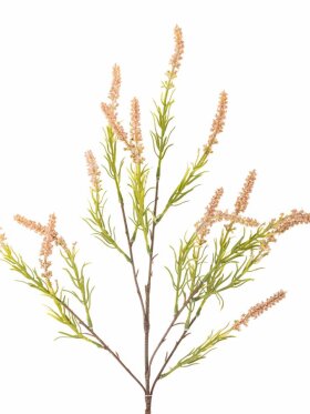 Bloomingville - BV Foxtail, Stilk