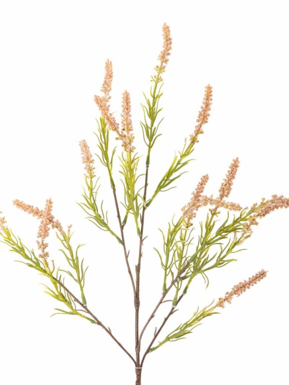 Bloomingville - BV Foxtail, Stilk