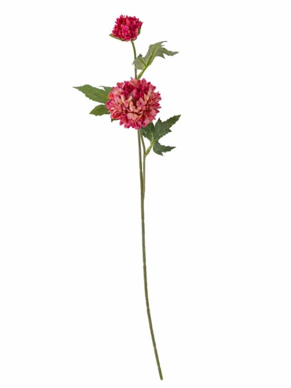 Bloomingville - B Chrysantemum, Stilk