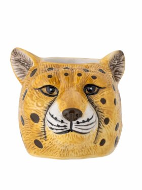 Roam, Vase