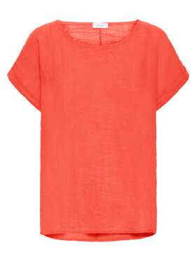 Sorbet - SBAlexa, Top Sorbet - SBAlexa, Top