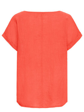 Sorbet - SBAlexa, Top