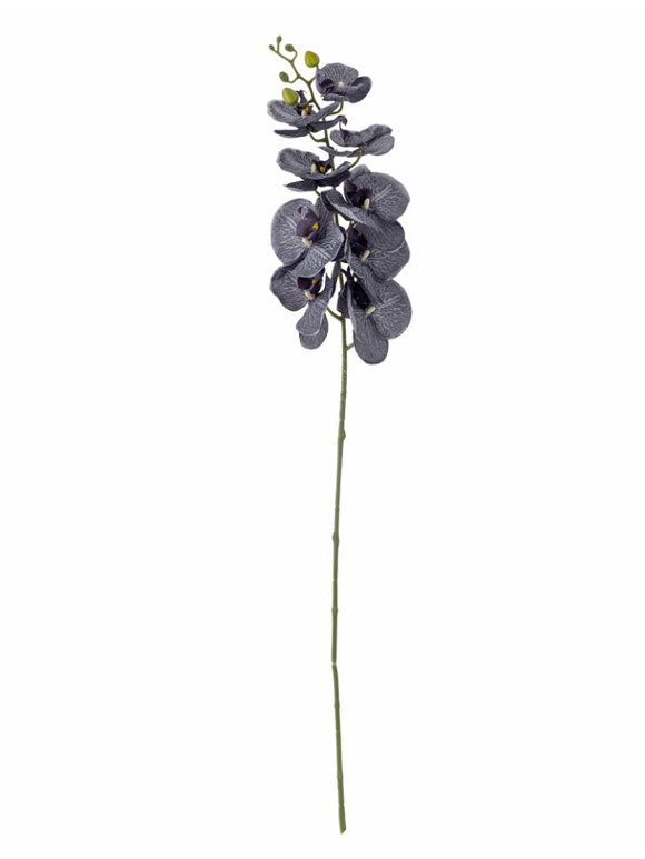 Bloomingville - BV Orchid, Stilk