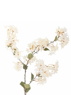 Bloomingville - BV Myrtle, Stilk