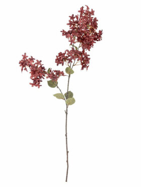 BV Myrtle, Stilk BV Myrtle, Stilk