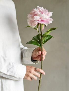 BV Peony, Stilk BV Peony, Stilk