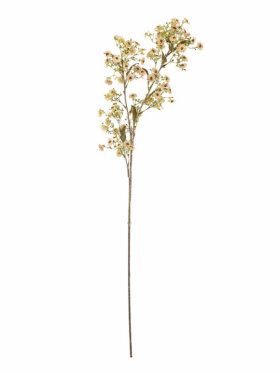 Bloomingville - BV Waxflower, Stilk