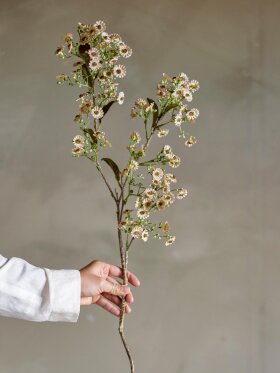 Bloomingville - BV Waxflower, Stilk