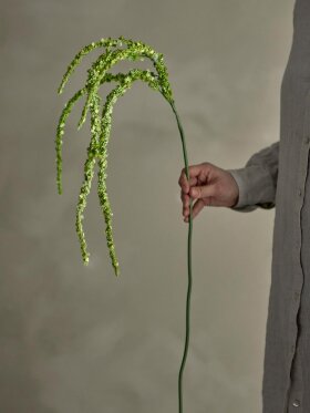 Bloomingville - BV Foxtail, Stilk