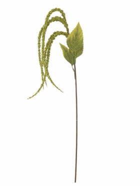 BV Foxtail, Stilk BV Foxtail, Stilk