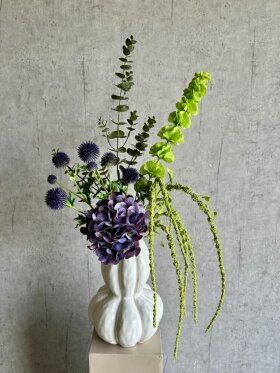 Barbara - Molucella, Grøn