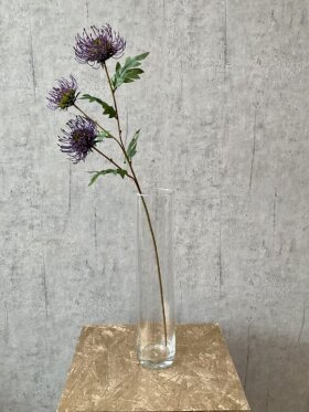 Protea lila, Stilk