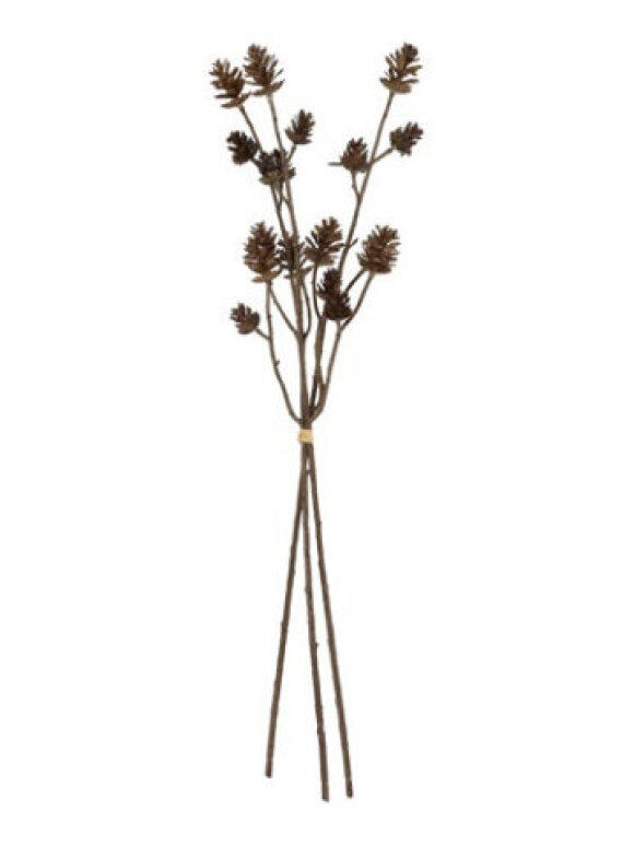 Barbara - Kogle gren, bundt 3