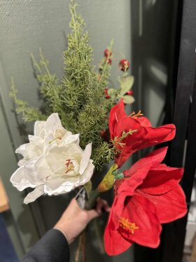 Barbara - Cypres, Grøn