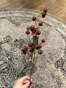 Barbara - DE81580 Hypen Gren, M/ røde bæ