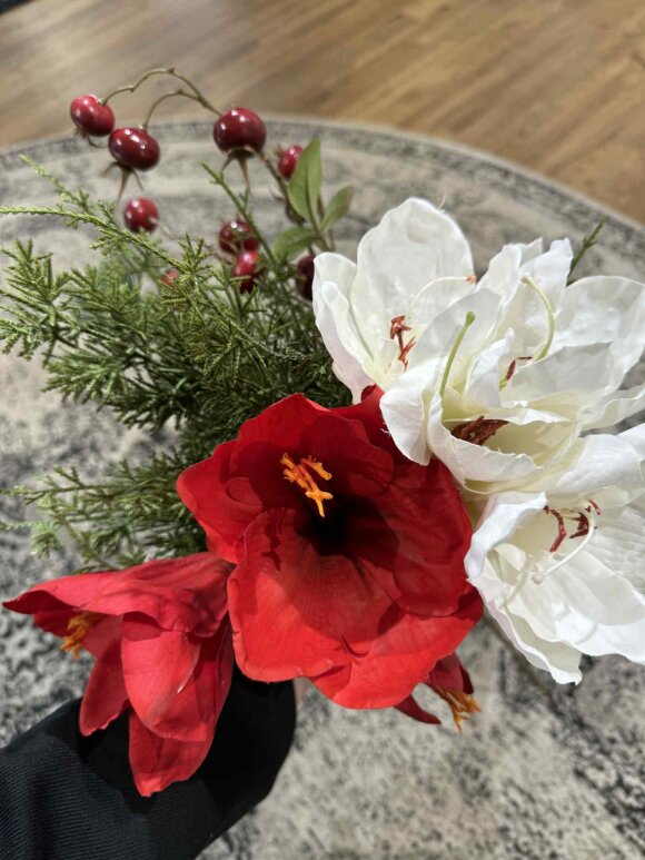 Barbara - Amaryllis, hvid