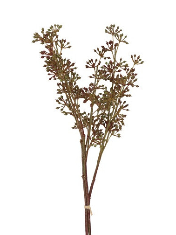 Barbara - Bær Bundt, Brun 3 Stk