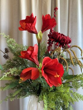 Barbara - Amaranthus, Natur