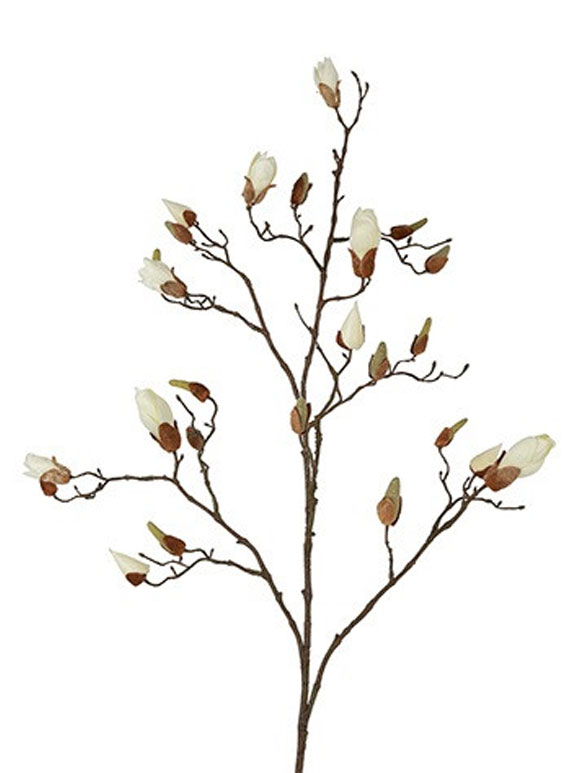 Barbara - Magnolia hvid gren