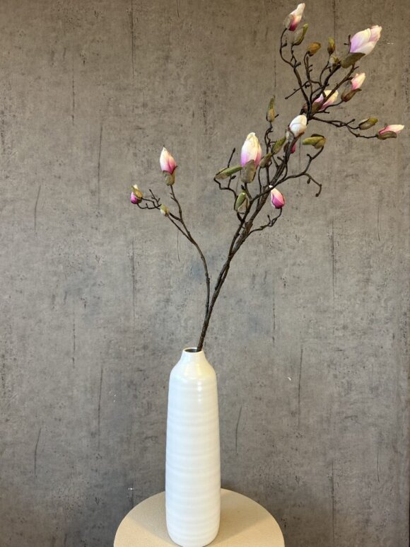 Barbara - Magnolia rosa gren