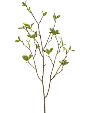 Gren