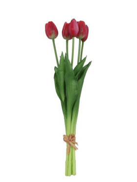 Barbara - Brundt 5 stk, Tulipan