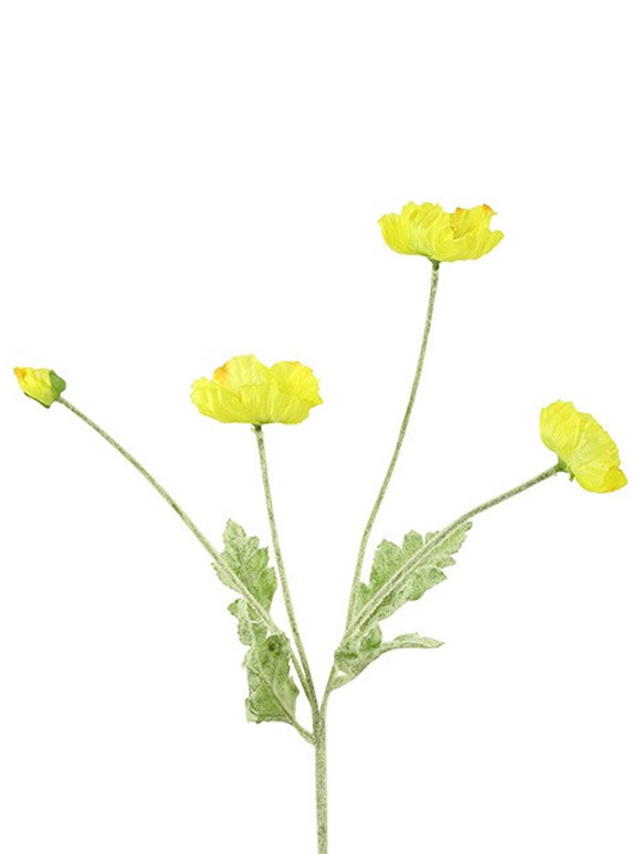 Barbara - Valmue, gul 