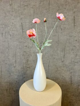 Barbara - Vamue, Sart rosa