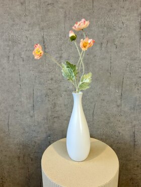 Barbara - Valmue, Abrikos